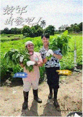 奔跑吧 - 综艺在线观看